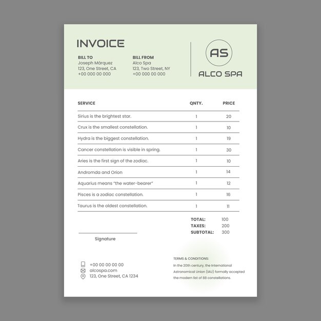 modern spa and vibes invoice
