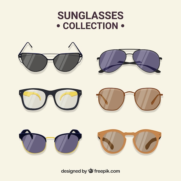 Modern sunglasses collection in flat style