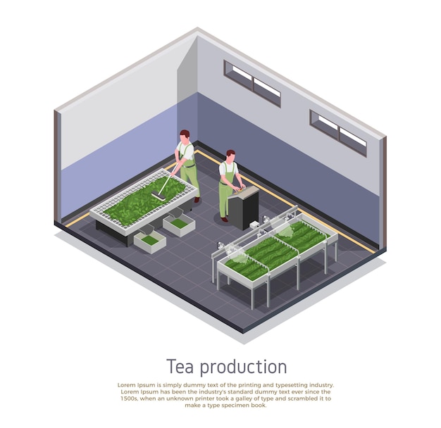 Modern tea production facility isometric composition illustration