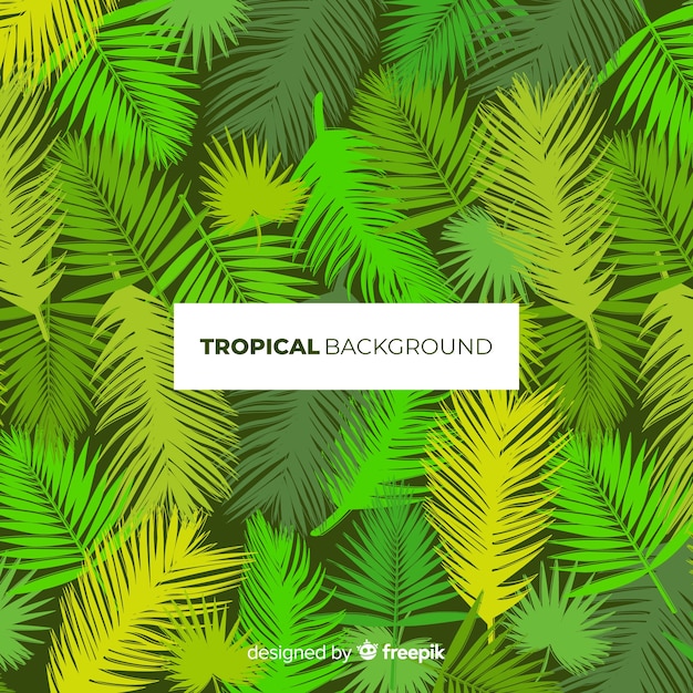 Modern tropical leaves background