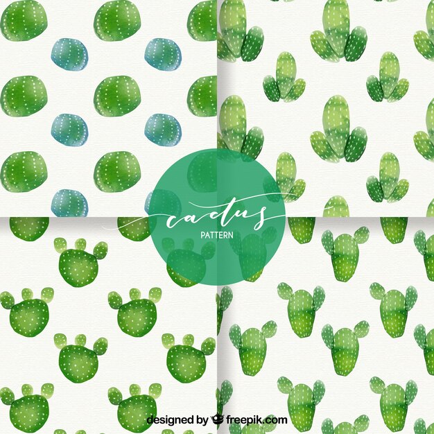 Modern watercolor cactus patterns