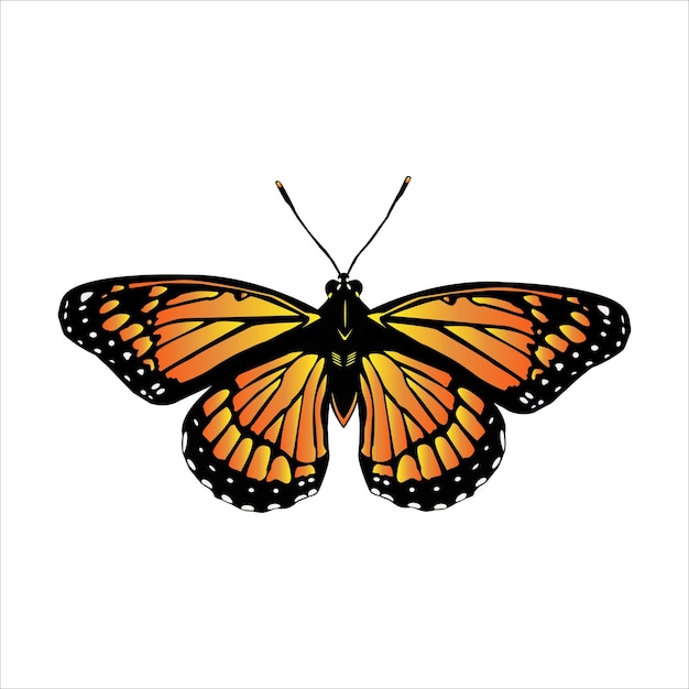 Premium Vector | Monarch butterfly