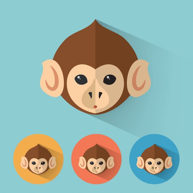 Monkey animal portrait