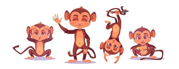 Monkey baby cartoon cute animal vector character