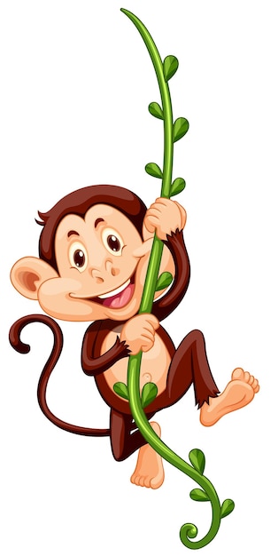 Monkey climbing up the vine