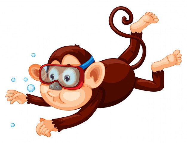 A monkey diving on white background