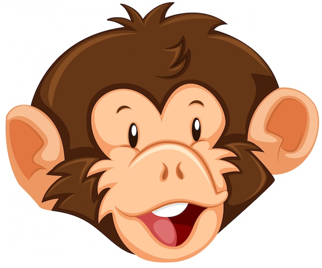 A monkey face on white background