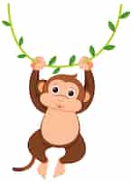 Free vector monkey hanging on liana