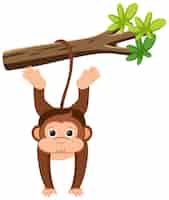 Free vector monkey hanging on tree