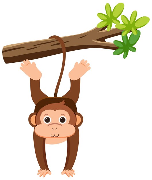 Monkey hanging on tree