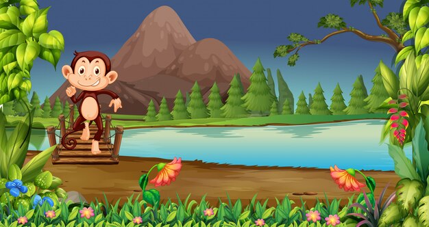 Monkey in nature night scene