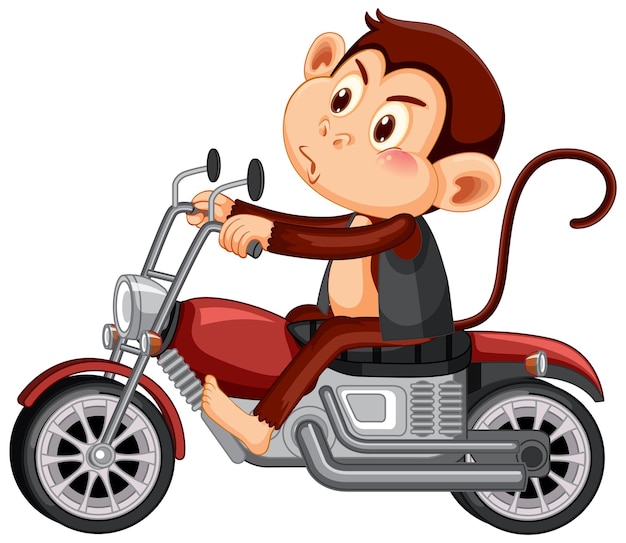 Free vector monkey rides motorcycle cartoon character