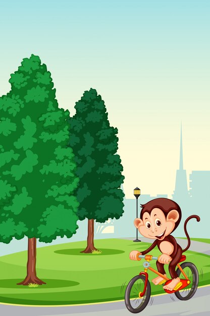 Monkey riding bicycle in the park