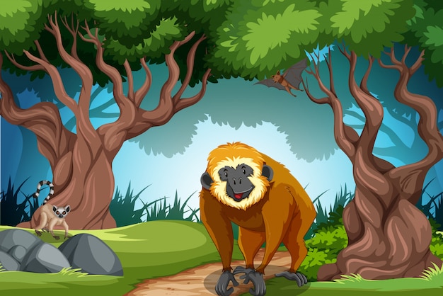 Monkey in the wild forest