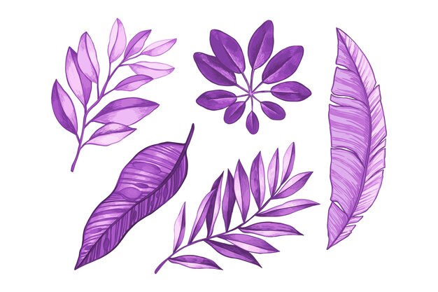 Monochromatic design tropical leaves