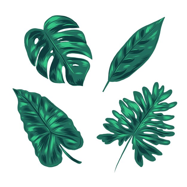Monochromatic tropical leaves concept