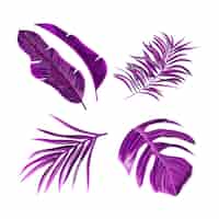 Free vector monochromatic tropical leaves