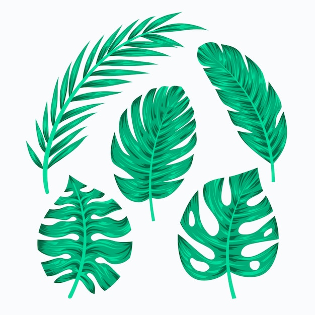 Free vector monochromatic tropical leaves