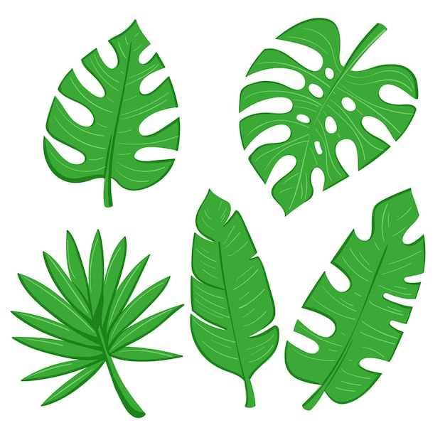 Monochromatic tropical leaves