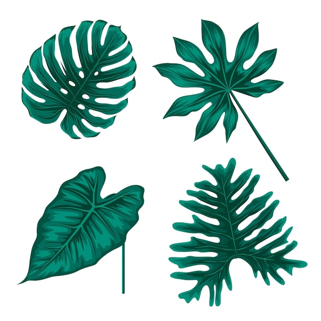 Free vector monochromatic tropical leaves