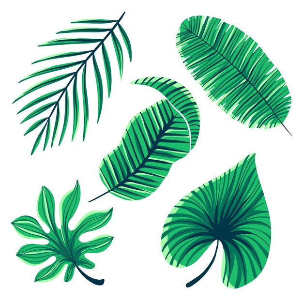 Monochromatic tropical leaves