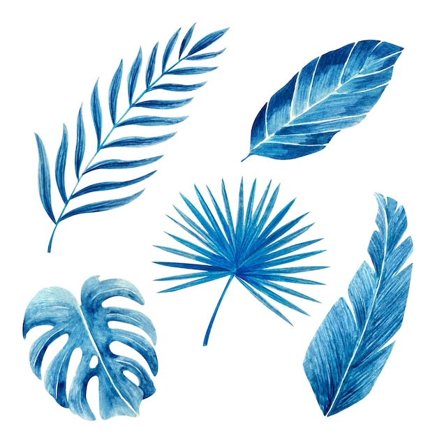 Monochromatic tropical leaves