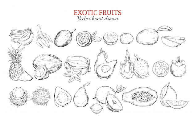 Monochrome Exotic And Tropical Fruits Collection