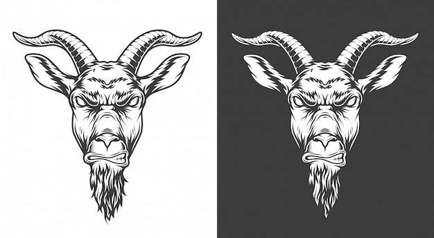 Monochrome goat illustration