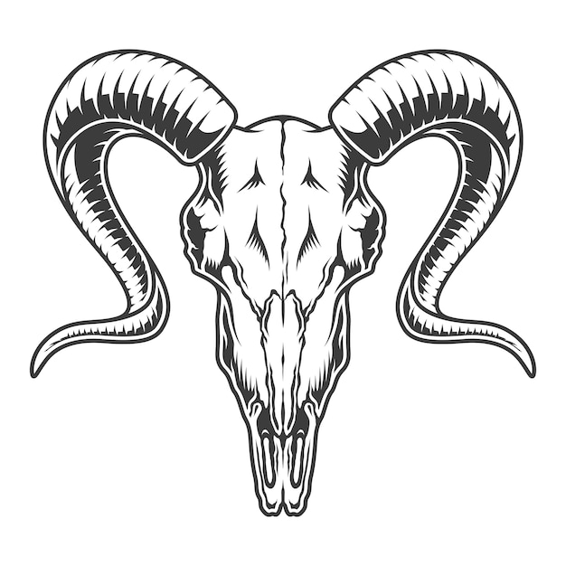 Free vector monochrome goat skull illustration