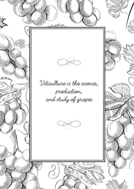 Free vector monochrome square frame composition with grapes bunches