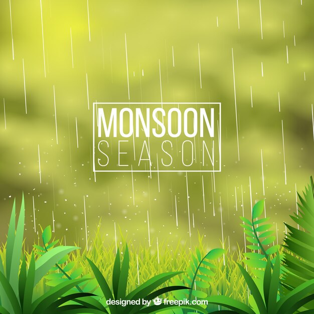 Monsoon blurred background with nature