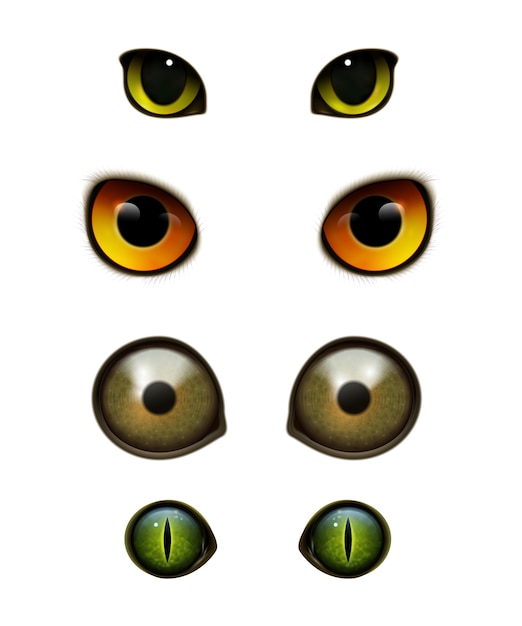 Free vector monster animals cats realistic eyes