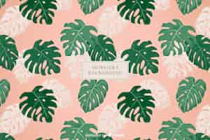 Free vector monstera background