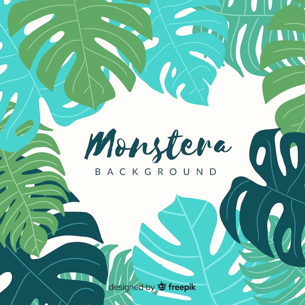 Free vector monstera background