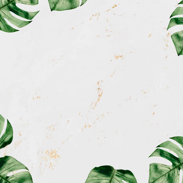 Рамка из листьев монстеры на мраморном текстурированном фоне