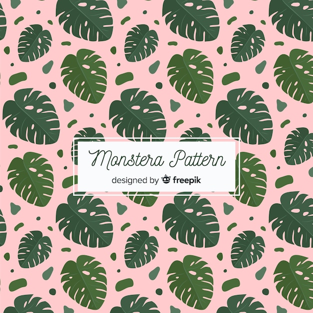 Monstera leaves background