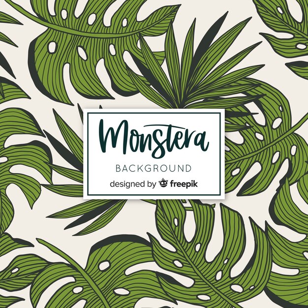 Monstera leaves background