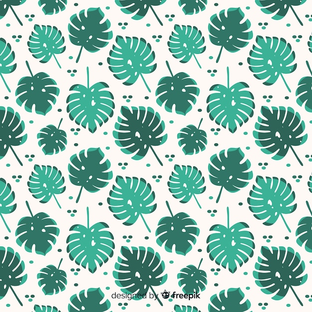 Monstera leaves background