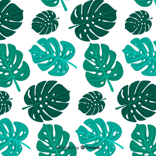 Monstera leaves background