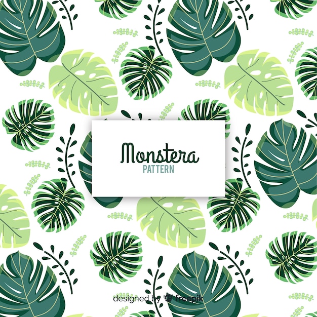 Free Vector monstera leaves background