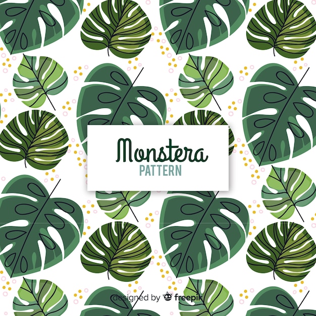 Monstera leaves background