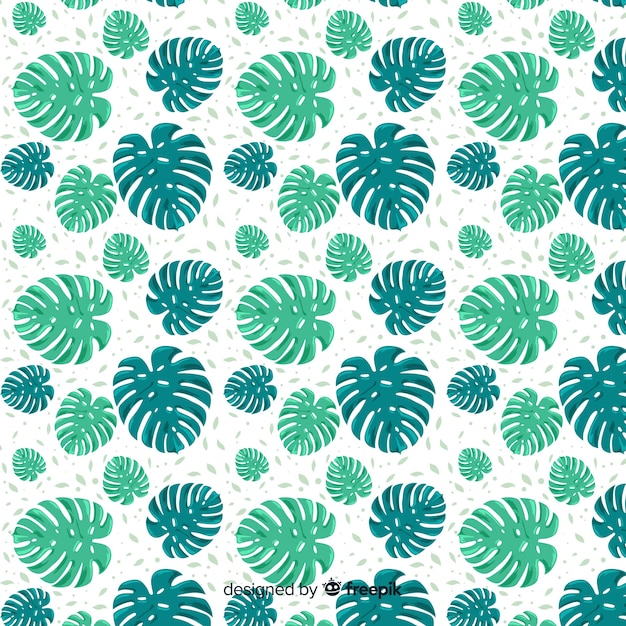 Monstera leaves background