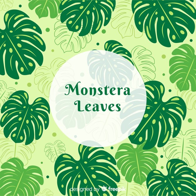 Free vector monstera leaves background