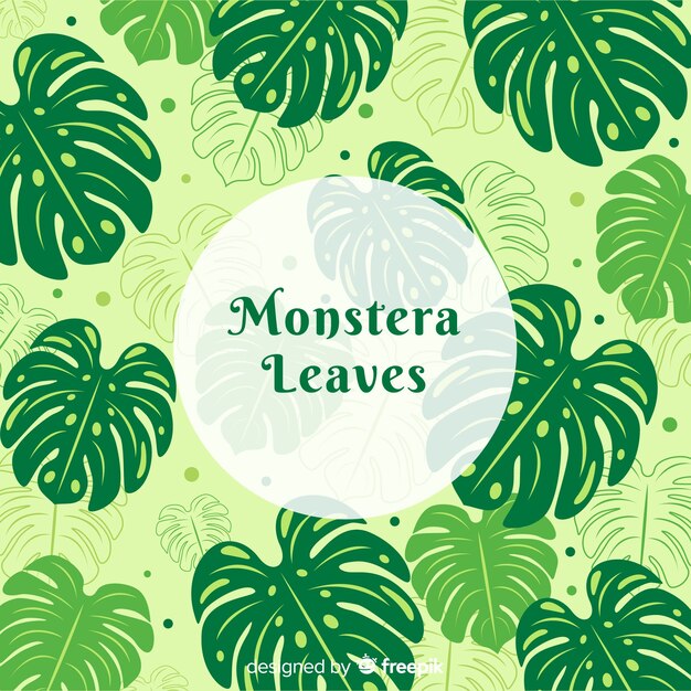 Monstera leaves background