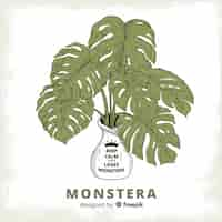 Free vector monstera leaves in flowerpot background