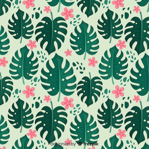 Monstera leaves pattern