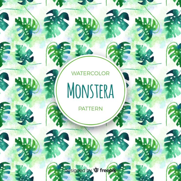 Free Vector monstera leaves