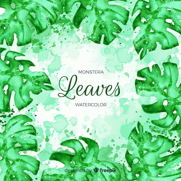 Free vector monstera leaves