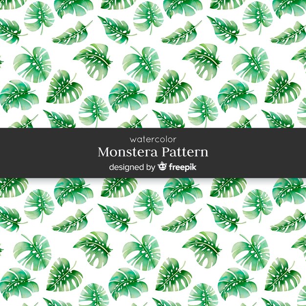 Free vector monstera leaves