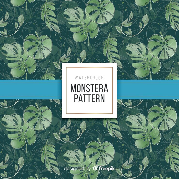 Free Vector monstera leaves